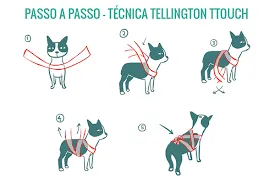 C:\Users\Admin\Pictures\tecnica.png