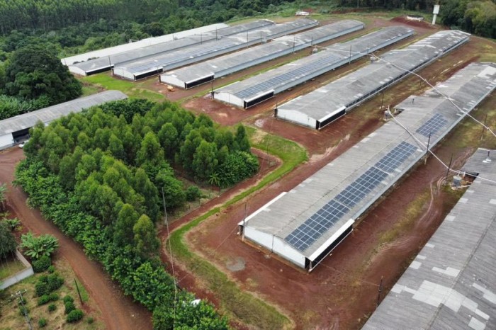 Foto: Granja Landgraf Adami