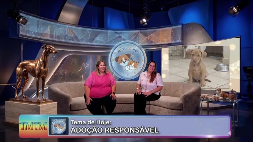 Vídeo